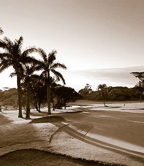 Palmen begrenzen die Fairways des ber�hmten Selborne Golfplatzes in Kwazulu Natal s&uuml;dlich von Durban.